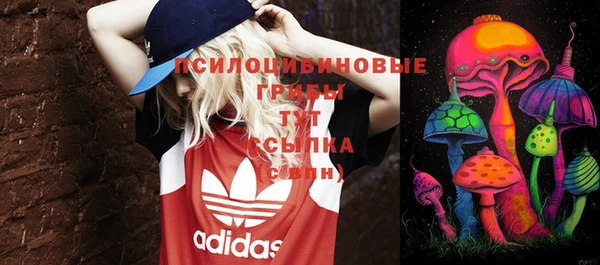 ПСИЛОЦИБИНОВЫЕ ГРИБЫ Алексин