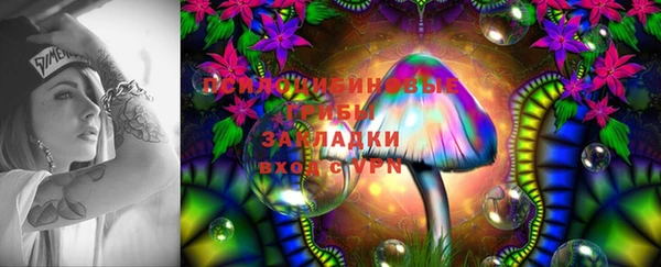 дурь Алзамай